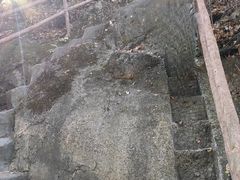 -天女山森林公园