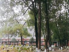 -四川大学(望江校区)