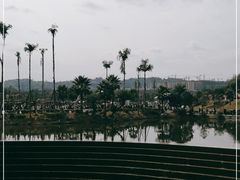 -枫香湖儿童公园