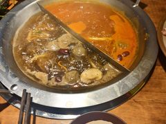 -楠火锅(哈尔滨金爵万象店)
