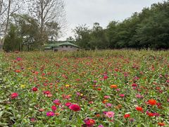 -沈阳森林动物园