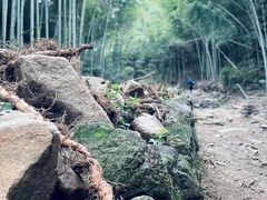 -会稽山峡洞漂流-上青古道