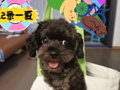 -萌兽医馆·宠物医院·猫骨科(创景店)