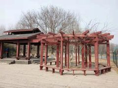 -东郊湿地公园
