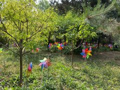 -南宫五洲植物乐园