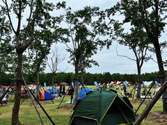 -上海海湾国家森林公园