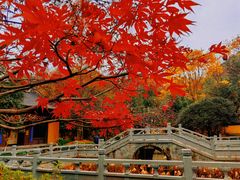 -慧因高丽寺