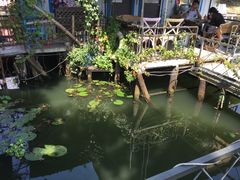 -水岸居湖景农家乐·阳澄湖大闸蟹