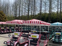 -黄海国家森林公园