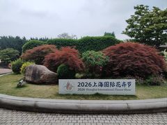 -嘉定紫藤园