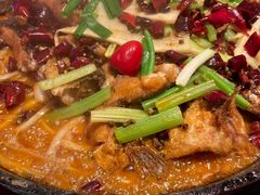 -老板恋上鱼(恒隆广场店)