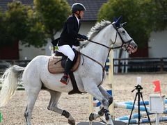 -松声马术俱乐部