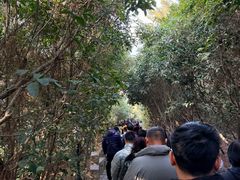 -狼山风景名胜区