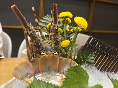 刺身拼盘-初花·日本料理