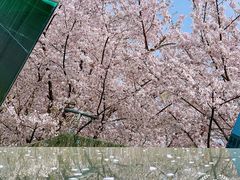 -龙美术馆(西岸馆)