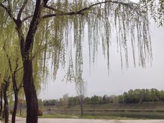 -洨河生态公园