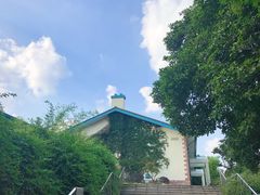 -上海市保健医疗中心(华东疗养院)