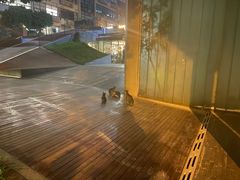 -JUKEBOX玖部音乐餐厅(华侨城店)