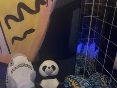 -Y&Y创意真人密室逃脱馆(人民广场步行街店)
