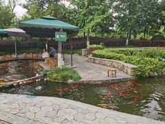 -成飞公园