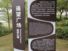 -广东花都湖国家湿地公园