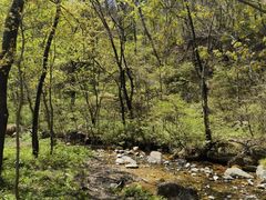 -玉渡山自然风景区