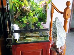 -繁花足道(梅江店)