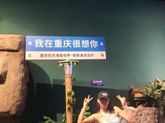 -重庆欢乐海底世界