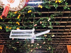 -崮乡圣水坊赵家炒鸡(花都店)