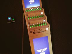 -斯卡拉演艺集团