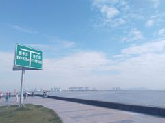 -海鸥岛