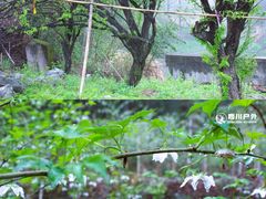 -秀沿路(地铁站)