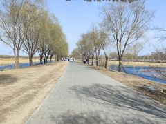 -野鸭湖国家湿地公园