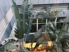 -广州白云机场雅高铂尔曼大酒店