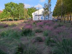 -上海浦江郊野公园-5号停车场