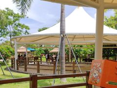 -珠海海泉湾神秘岛亲子乐园