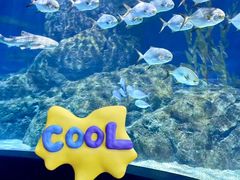 -暹罗海洋世界