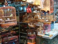 -万商花鸟市场