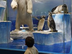 -国家自然博物馆