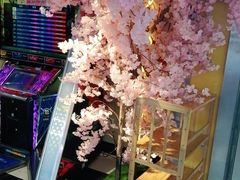 -天天玩X秋葉原日系动漫游戏中心