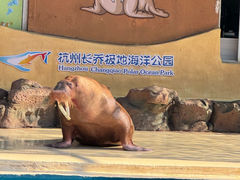 -杭州长乔极地海洋公园