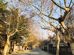 -冶山国家矿山公园
