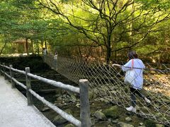 -神龙峡风景区
