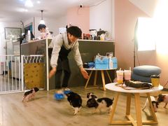 -浣熊柯尔鸭土拨鼠·电玩咖