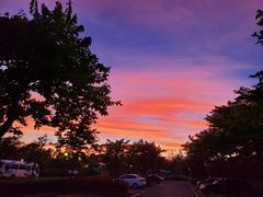 -海口绿发希尔顿酒店-田园汇自助餐·三文鱼·海鲜