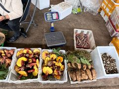 -云南木水花野生菌交易中心