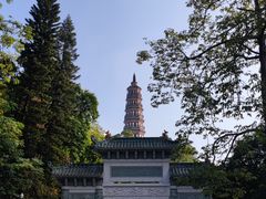 -顺峰山公园