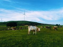 -塞罕坝国家级自然保护区