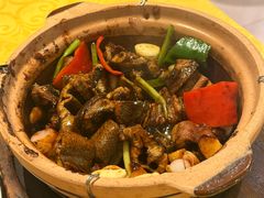 -天宝食坊·啫啫煲大排档(西华路店)