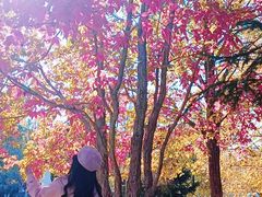 -长春世界雕塑园冰雪艺术天地